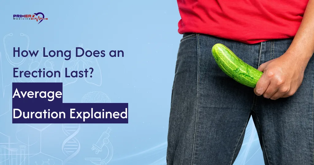 How Long Does an Erection Last Average Duration Explained