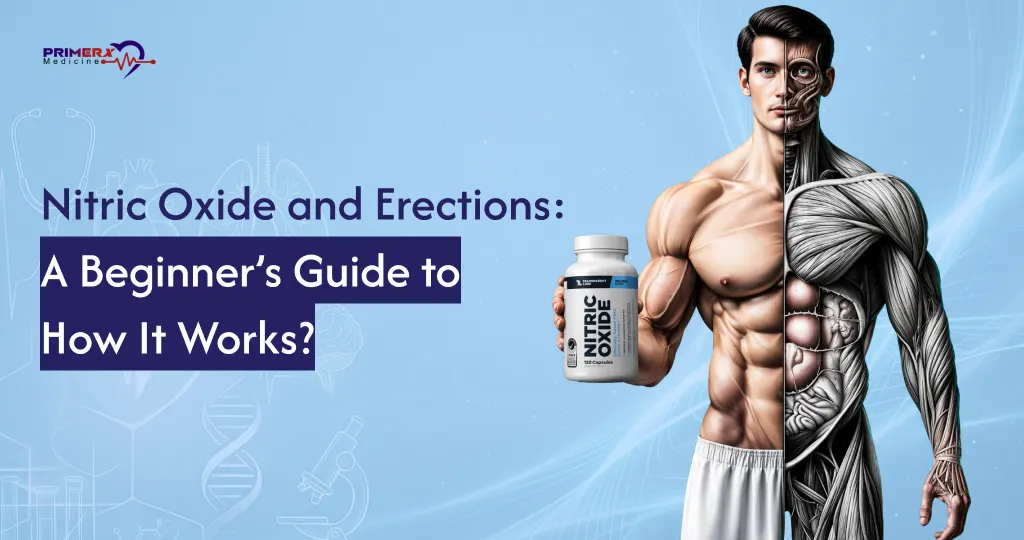Nitric Oxide and Erections A Beginner’s Guide to How It Works