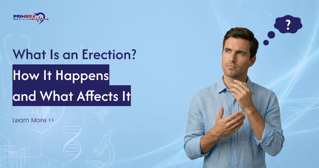 What is an erection how it happens and what factors affect male sexual performance